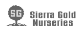 Sierra Gold