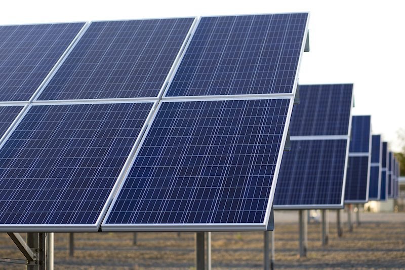 Coldwell Energy Sierra Gold Nurseries