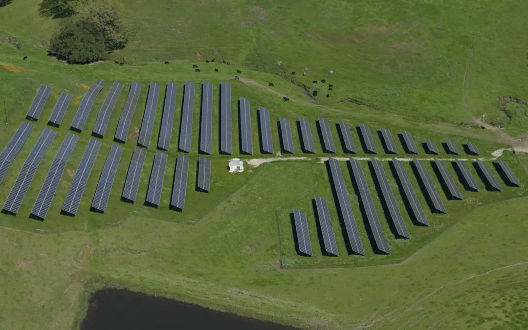 Sonoma Clean Power Lavio photo01