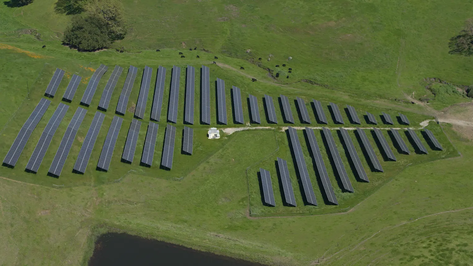 Sonoma Clean Power Lavio photo01